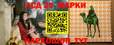 гидропоника Бугуруслан