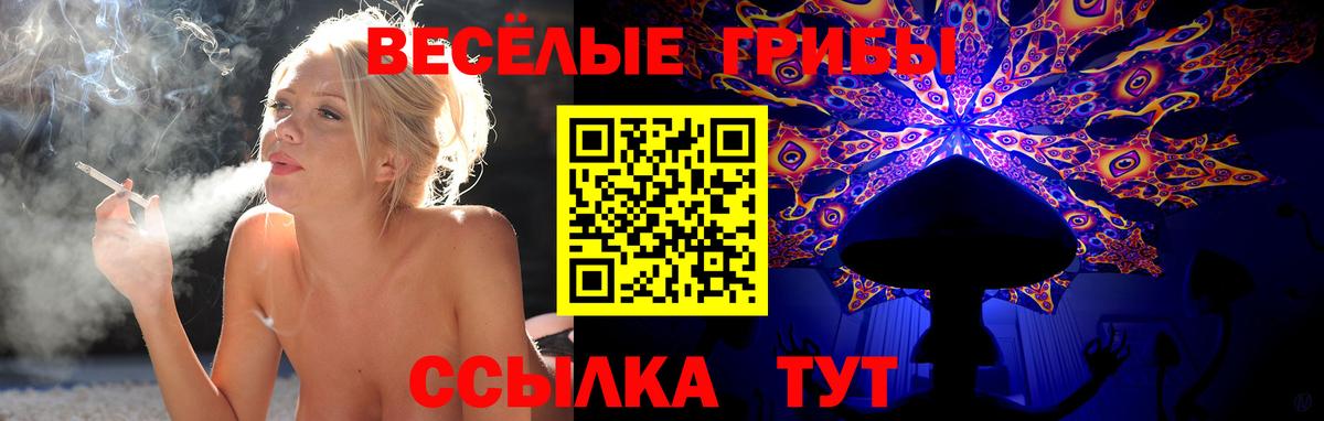 Холмск  Псилоцибиновые грибы Magic Shrooms  Вход с VPN 